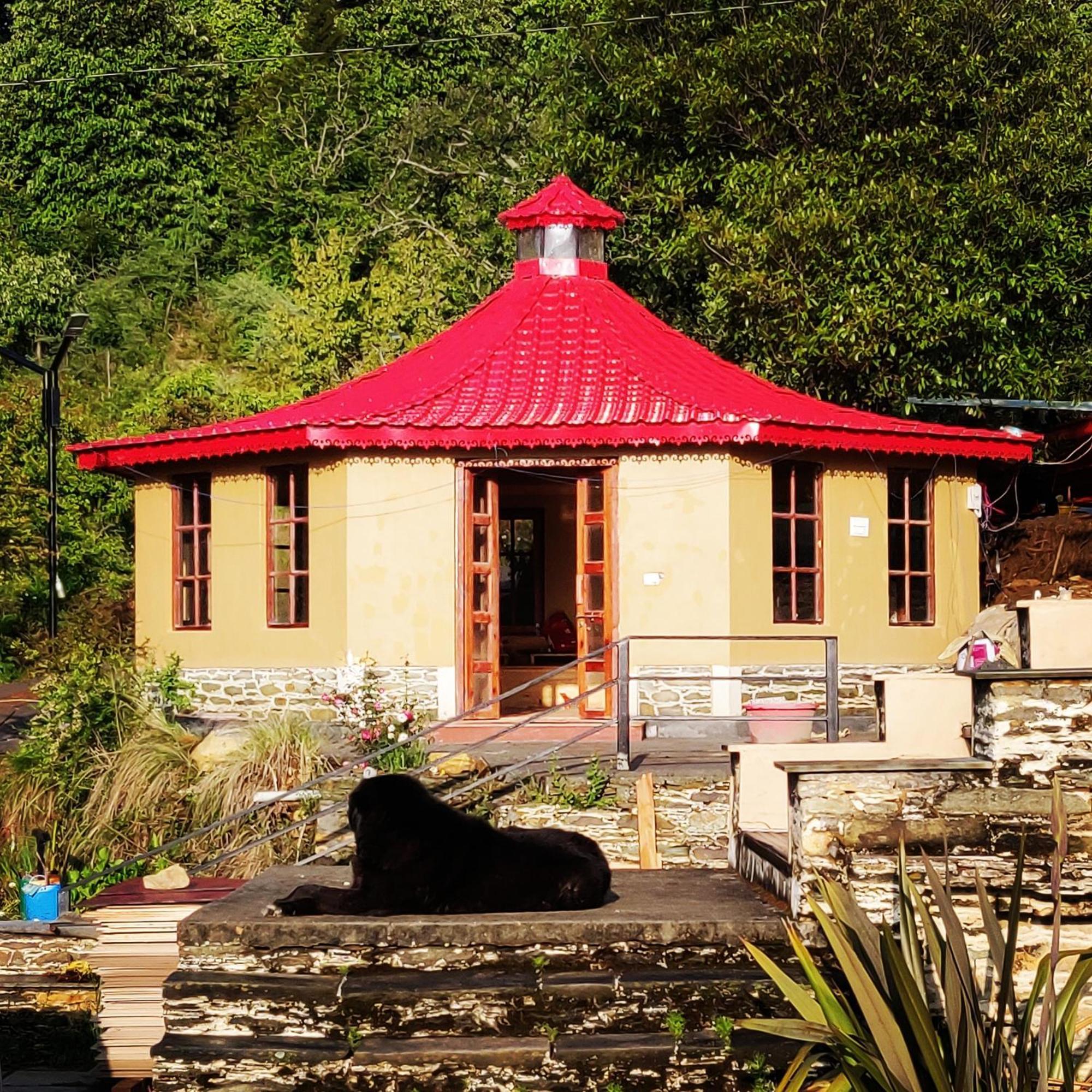 Dunagiri Retreat Dwarahat المظهر الخارجي الصورة