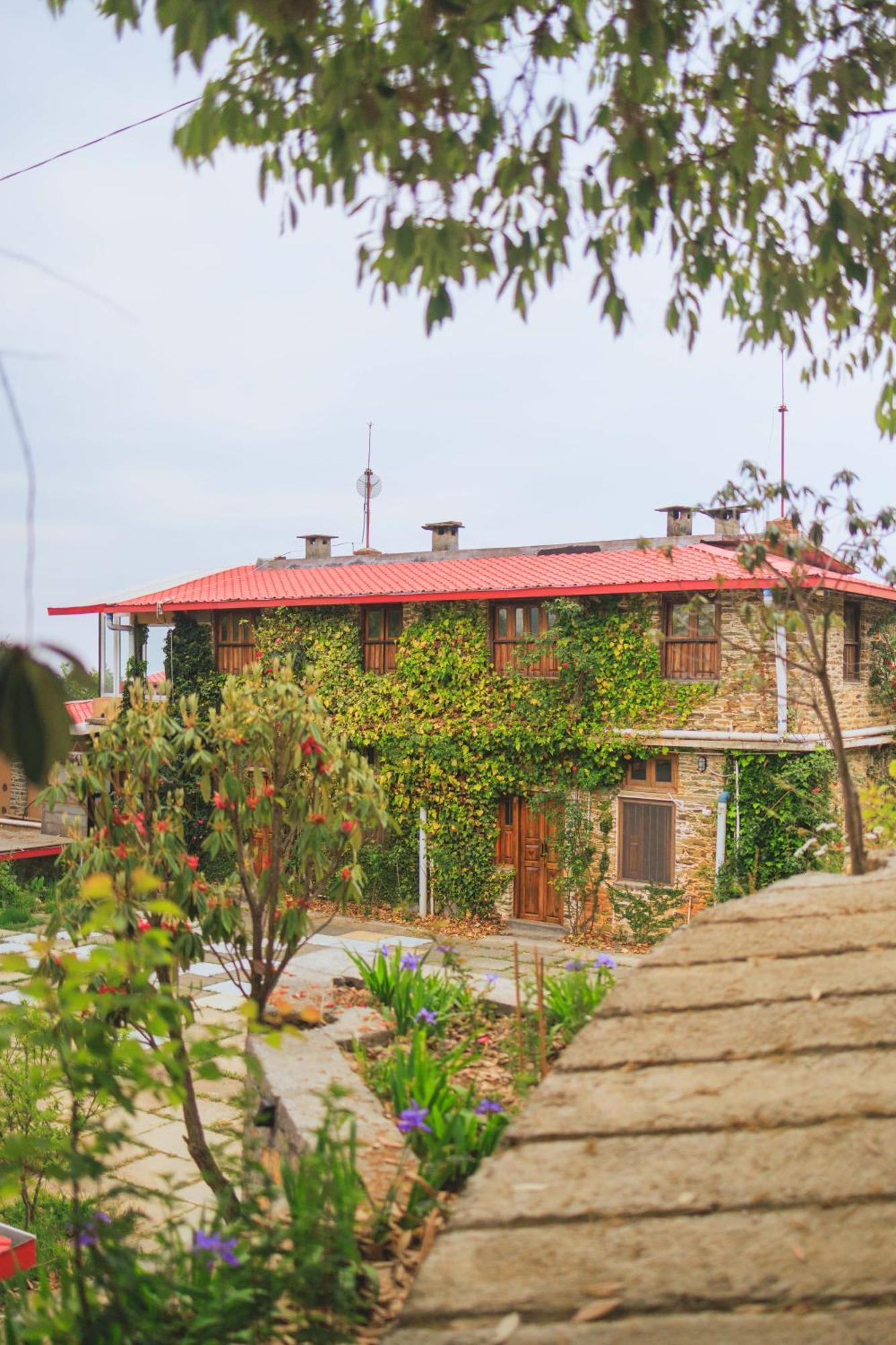 Dunagiri Retreat Dwarahat المظهر الخارجي الصورة